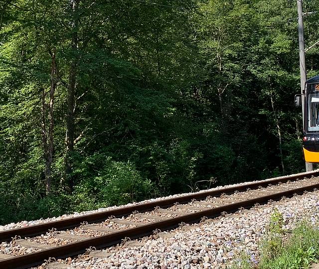 Die Stadtbahnlinie S11 fährt auf den Gleisen in Richtung Ittersbach.
