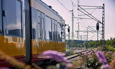 Seitliche Ansicht einer AVG-Stadtbahn mit Blumen im Vordergrund.