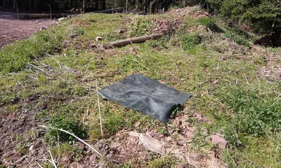 Zu sehen sind zwei Fotos: Das obere zeigt eine schwarze Kunststoffmatte, die als Reptielineversteck an einem Waldrand auf einem Grashügel ausgelegt wurde. Das untere Foto zeigt eine Niströhre für Haselmäuse in einem Baum