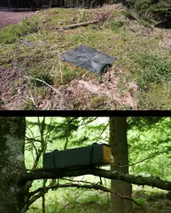 Zu sehen sind zwei Fotos: Das obere zeigt eine schwarze Kunststoffmatte, die als Reptielineversteck an einem Waldrand auf einem Grashügel ausgelegt wurde. Das untere Foto zeigt eine Niströhre für Haselmäuse in einem Baum