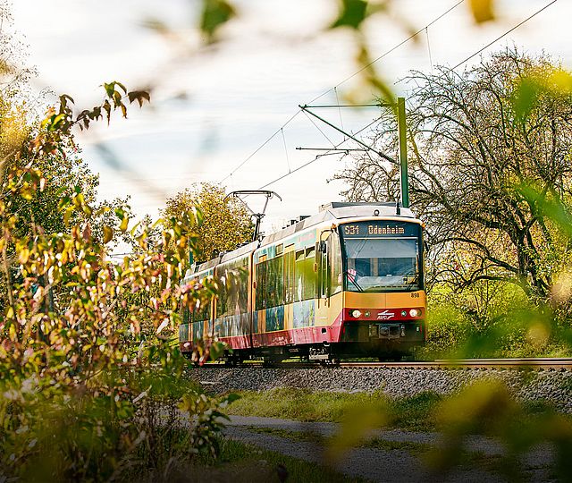 Stadtbahn S31 in Richtung Odenheim