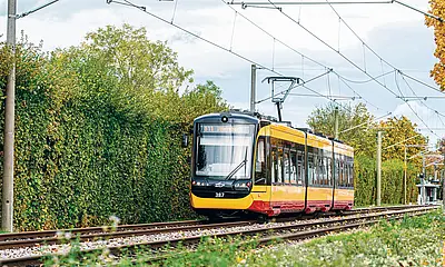 Eine AVG-Stadtbahn fährt durchs Grüne. 