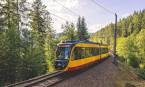 Eine Bahn der Linie S8 fährt auf der Murgtalbahn durch einen bewaldeteten Streckenabschnitt