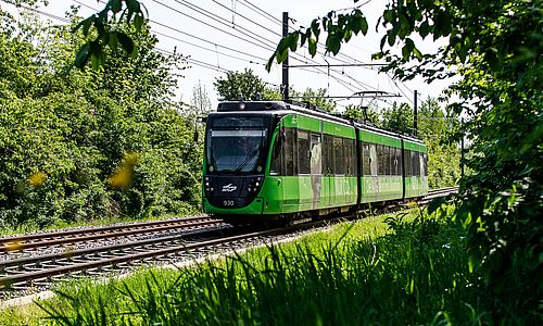 Grüne Stadtbahn im Wald. 