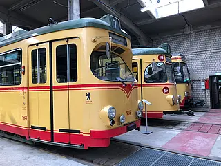 Seitliche Ansicht der historischen Fahrzeuge des TSNV.