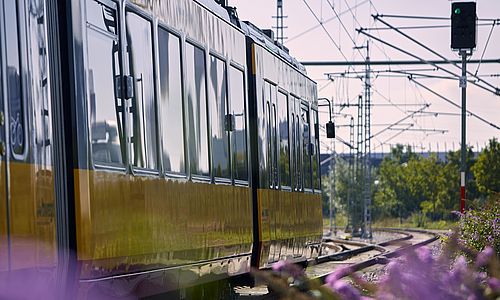 Eine AVG-Stadtbahn fährt auf freier Strecke. Rechts im Bild befinden sich lilafarbene Blumen. Das Sonnenlicht spiegelt sich in den Scheiben der Stadtbahn. Im Hintergrund sind Signalanlagen und Oberleitungen zu sehen.