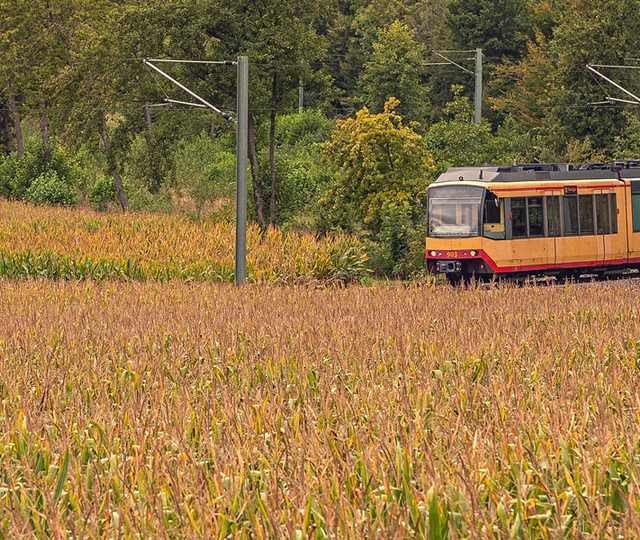 Eine AVG-Bahn fährt entlang der Strecke umgeben von einer idyllischen Landschaft im Kraichgau.
