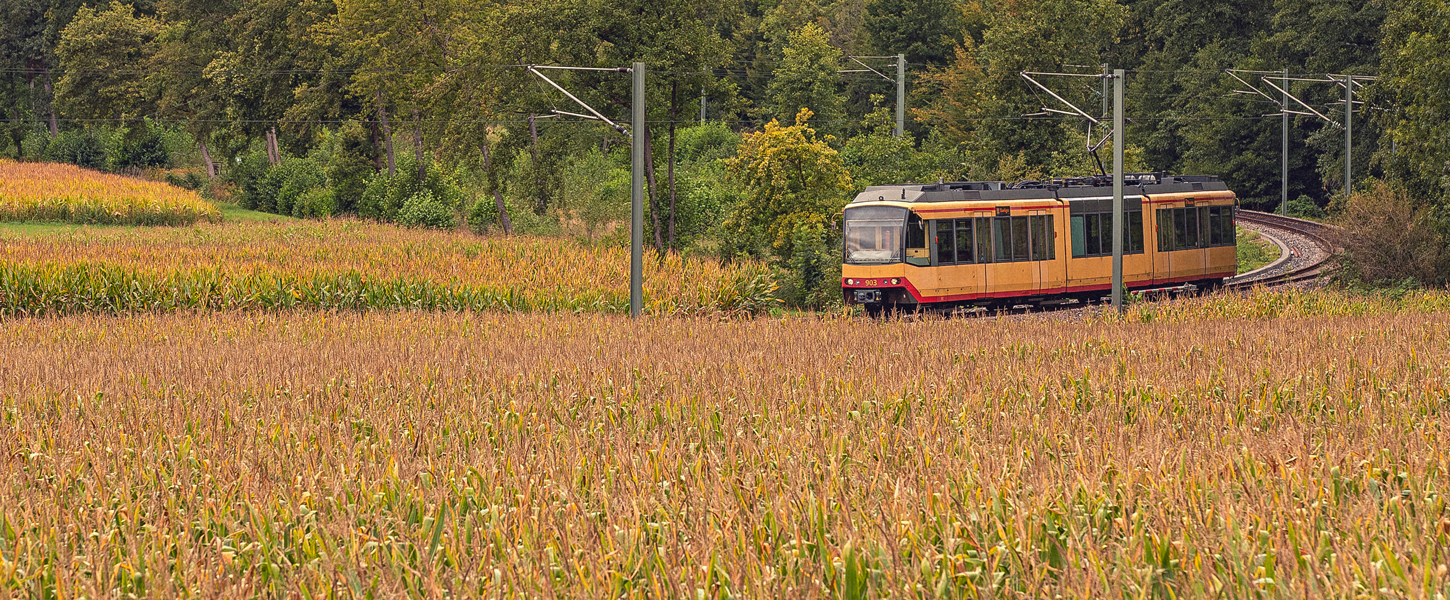 Eine AVG-Bahn fährt entlang der Strecke umgeben von einer idyllischen Landschaft im Kraichgau.