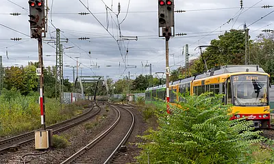 Seitliche Ansicht einer AVG-Stadtbahn, die auf Gleisen fährt.