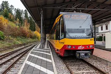 Der Freizeitexpress Albtäler steht im Bahnhof von Bad Herrenalb. 