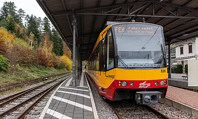 Der Freizeitexpress Albtäler steht im Bahnhof von Bad Herrenalb. 