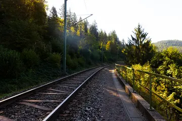 Gleisstrecke mit umgebendem Wald.