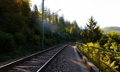 Gleisstrecke mit umgebendem Wald.