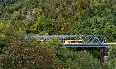 AVG-Stadtbahn fährt über Brücke im Schwarzwald.